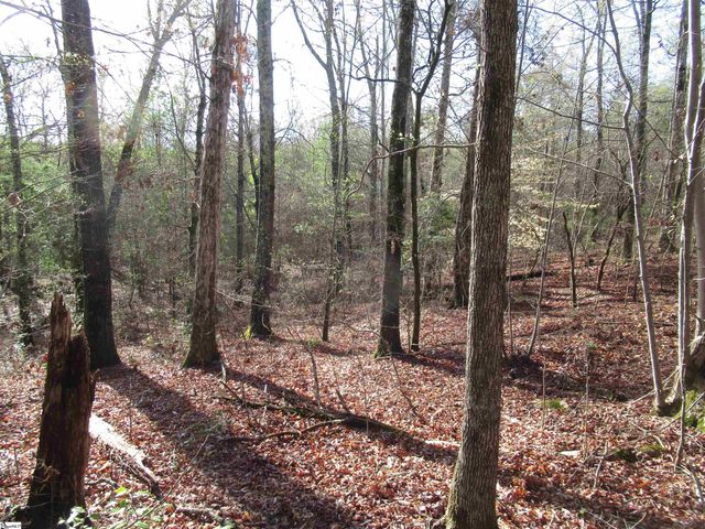 Amberway Road, Easley, SC 29640