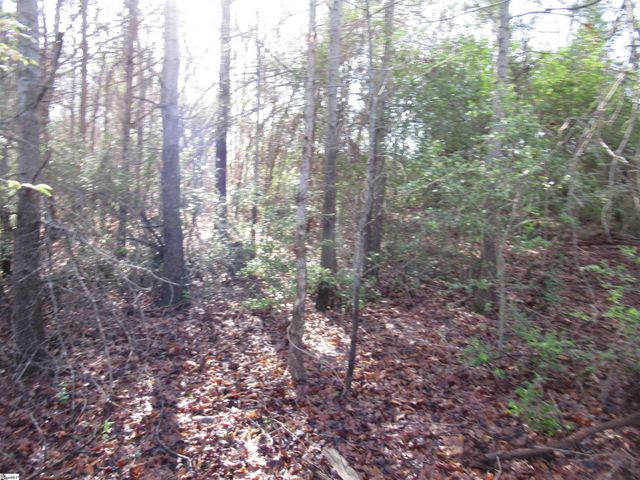 Amberway Road, Easley, SC 29640