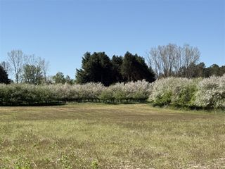 5140 37 Mile Road Road, Update, MI 48065