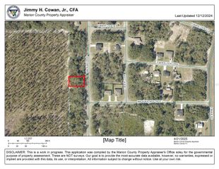 TBD MALAUKA PASS, Ocklawaha, FL 32179