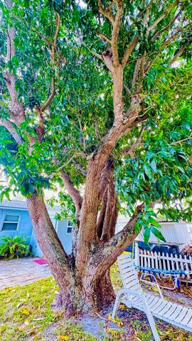 347 Flagler Boulevard, West Palm Beach, FL 33403