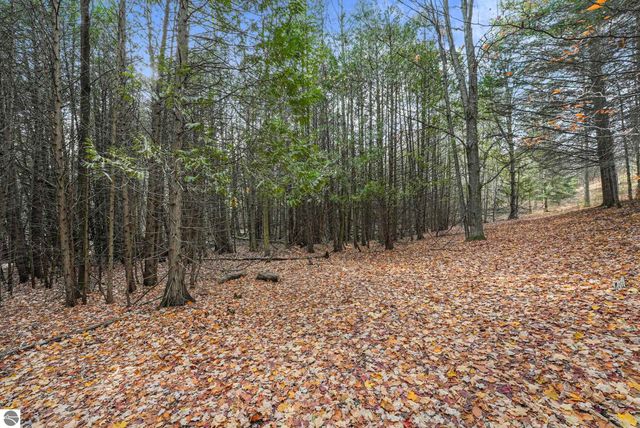 750 N Dumas Road, Suttons Bay, MI 49682