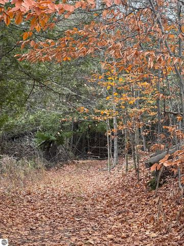 750 N Dumas Road, Suttons Bay, MI 49682