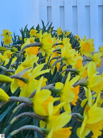 750 N Dumas Road, Suttons Bay, MI 49682