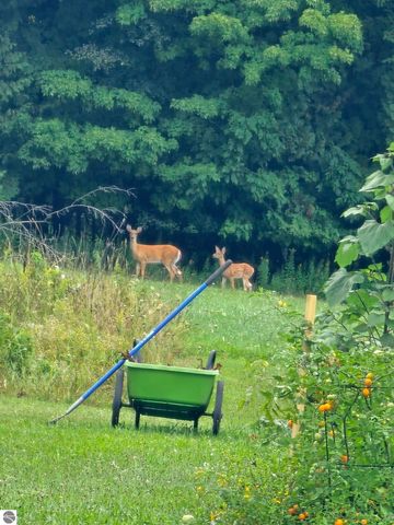 750 N Dumas Road, Suttons Bay, MI 49682