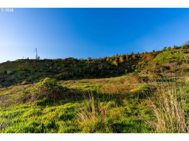0 Nw Griffith Rd, Woodland, WA 98674