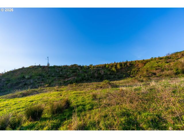 0 Nw Griffith Rd, Woodland, WA 98674