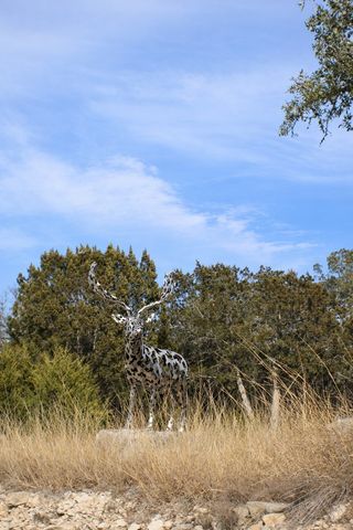 Lot 6 Gene Walker Trail, Hunt, TX 78024