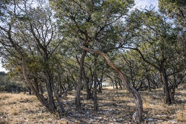 Lot 6 Gene Walker Trail, Hunt, TX 78024