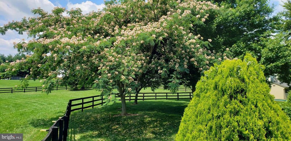 Image 62 of property listing at 38607 MILLSTONE DRIVE, Purcellville, VA 20132