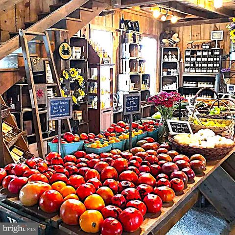 156 MUNSEE CIRCLE, Winchester, VA 22602