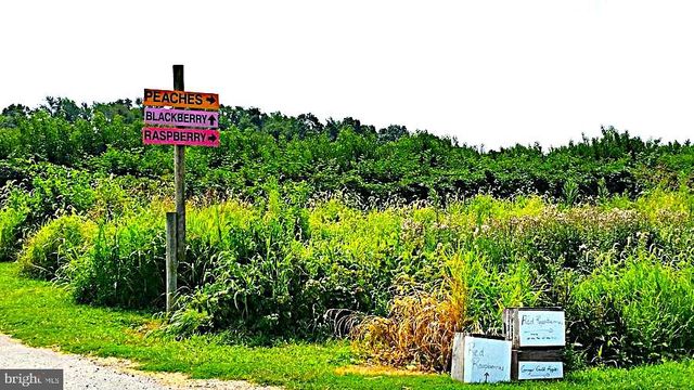 156 MUNSEE CIRCLE, Winchester, VA 22602