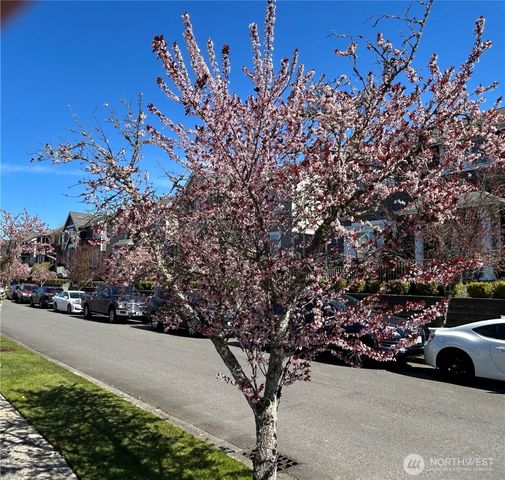 301 Wild Rose Street, Tacoma, WA 98466