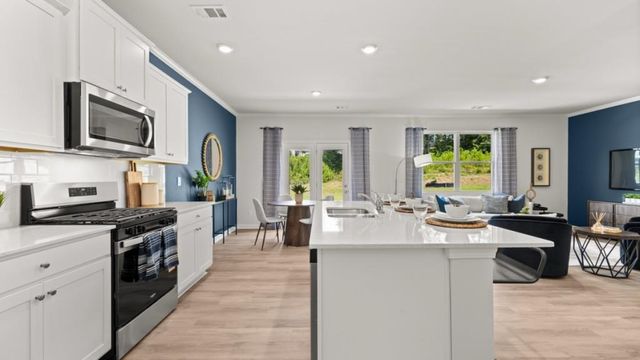 81 Buckthorn Way, Dallas, GA 30132