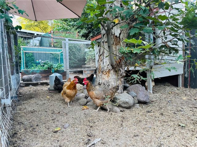 20462 Pine Road, Trabuco Canyon, CA 92679