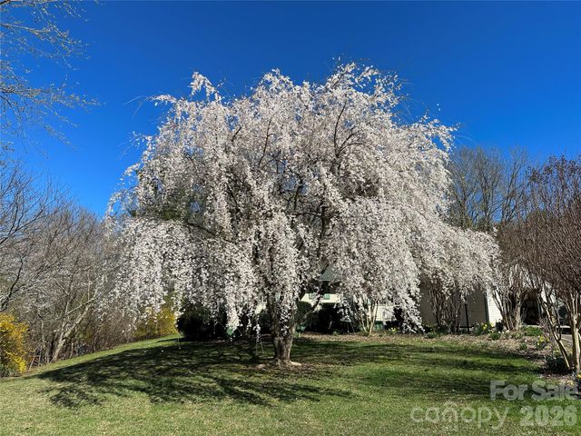 22 Stoney Nob Drive, Hendersonville, NC 28792