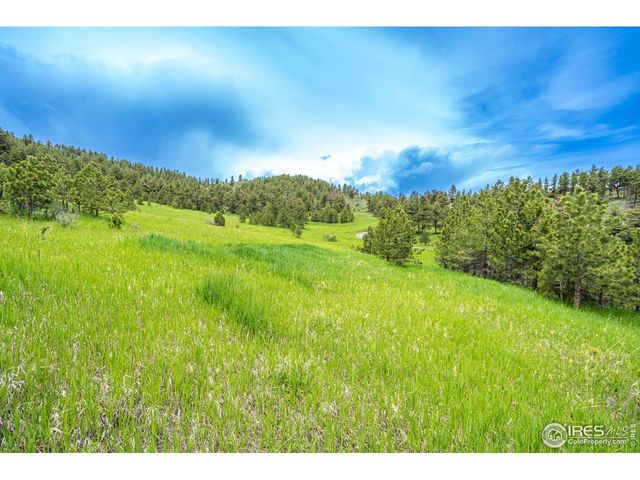 555 James Park Trl, Loveland, CO 80537