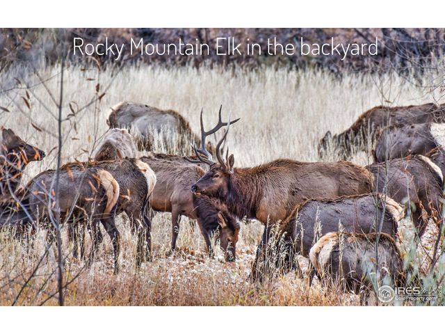 555 James Park Trl, Loveland, CO 80537