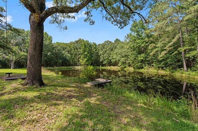 6375 Fm 1374 Road, New Waverly, TX 77358