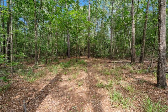 6375 Fm 1374 Road, New Waverly, TX 77358
