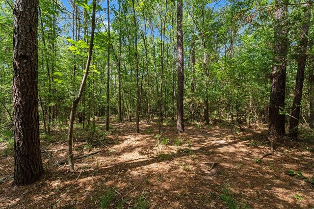 6375 Fm 1374 Road, New Waverly, TX 77358