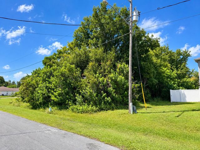 1005 CANNES DRIVE, Kissimmee, FL 34759