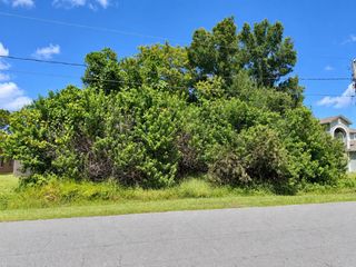 1005 CANNES DRIVE, Kissimmee, FL 34759