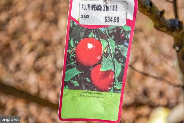 8016 SHIPMADILLY LN, Warrenton, VA 20186