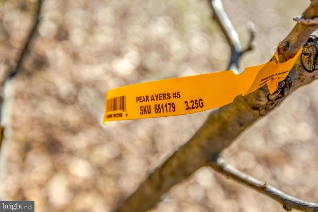 8016 SHIPMADILLY LN, Warrenton, VA 20186