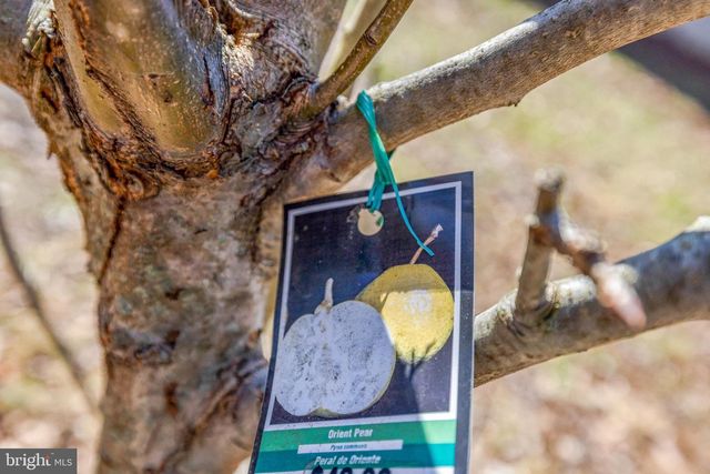 8016 SHIPMADILLY LN, Warrenton, VA 20186