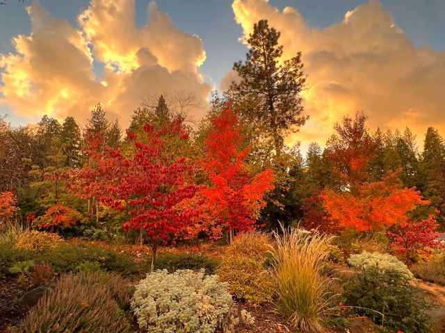 1412 Sandalwood Dr, Murphys, CA 95247