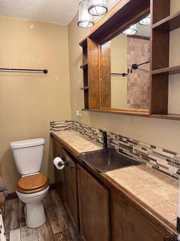 21254 Sylvan Ln, Chandler, TX 75758