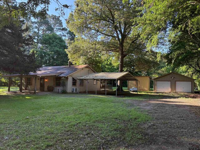 21254 Sylvan Ln, Chandler, TX 75758