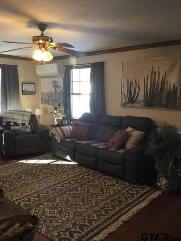 21254 Sylvan Ln, Chandler, TX 75758