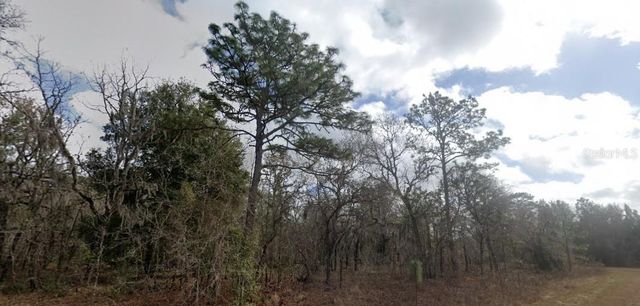 CRIDER ROAD, Weeki Wachee, FL 34614