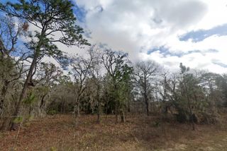 CRIDER ROAD, Weeki Wachee, FL 34614
