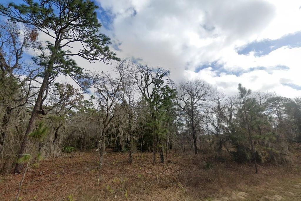 CRIDER ROAD, Weeki Wachee, FL 34614