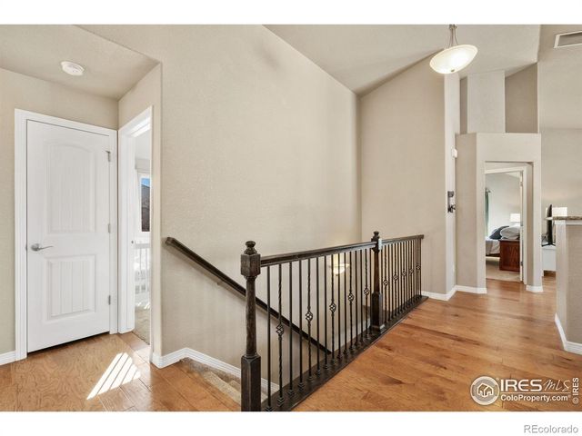 5682 Chantry Drive, Windsor, CO 80550