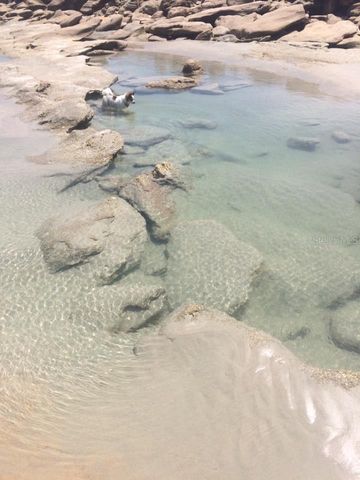 4 SUNRISE CIRCLE, Palm Coast, FL 32137