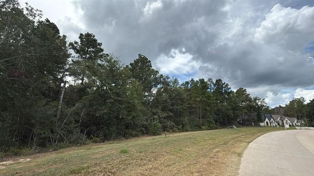 23725 Birch Grove Rd, Montgomery, TX 77316
