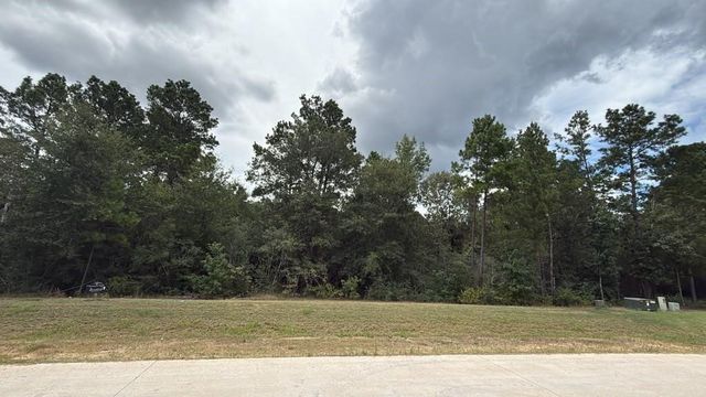 23725 Birch Grove Rd, Montgomery, TX 77316