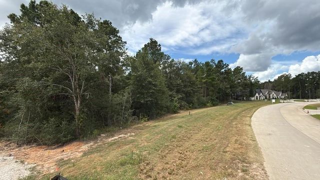 23725 Birch Grove Rd, Montgomery, TX 77316