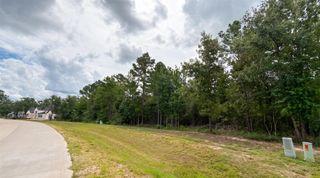 23725 Birch Grove Rd, Montgomery, TX 77316