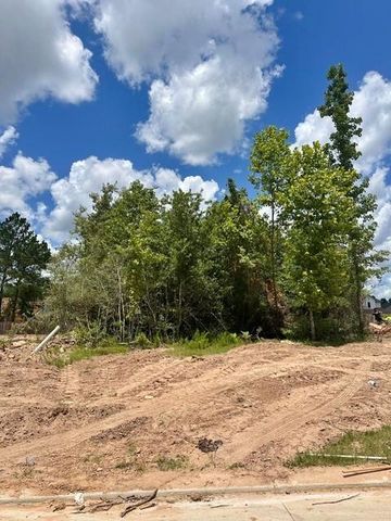 41810 Hubbard Street, Todd Mission, TX 77316