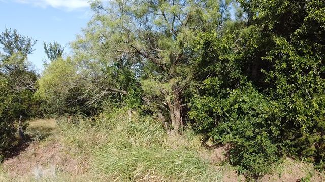 TBD10 Ballew Springs Road, Weatherford, TX 76088