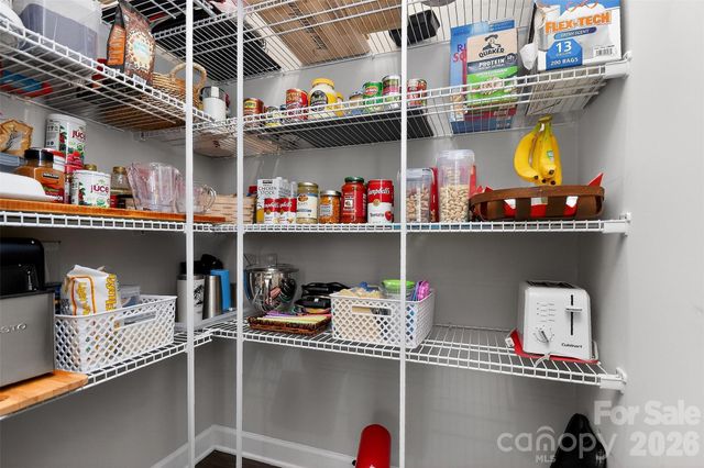 3024 Marchers Trace Drive, Charlotte, NC 28227