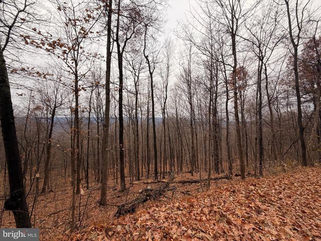 6.71 AC LOT 9 GOBBLER LANE, Hedgesville, WV 25427