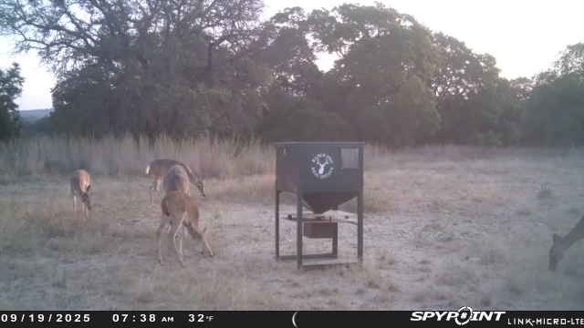 420 County Road 190, Zephyr, TX 76890
