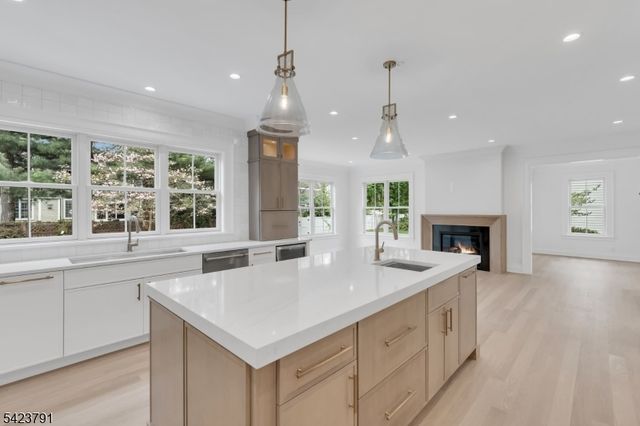 223 Longwood Avenue, Chatham Twp., NJ 07928