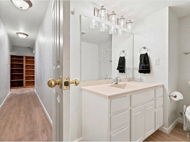 332 Whitney Bay, Windsor, CO 80550